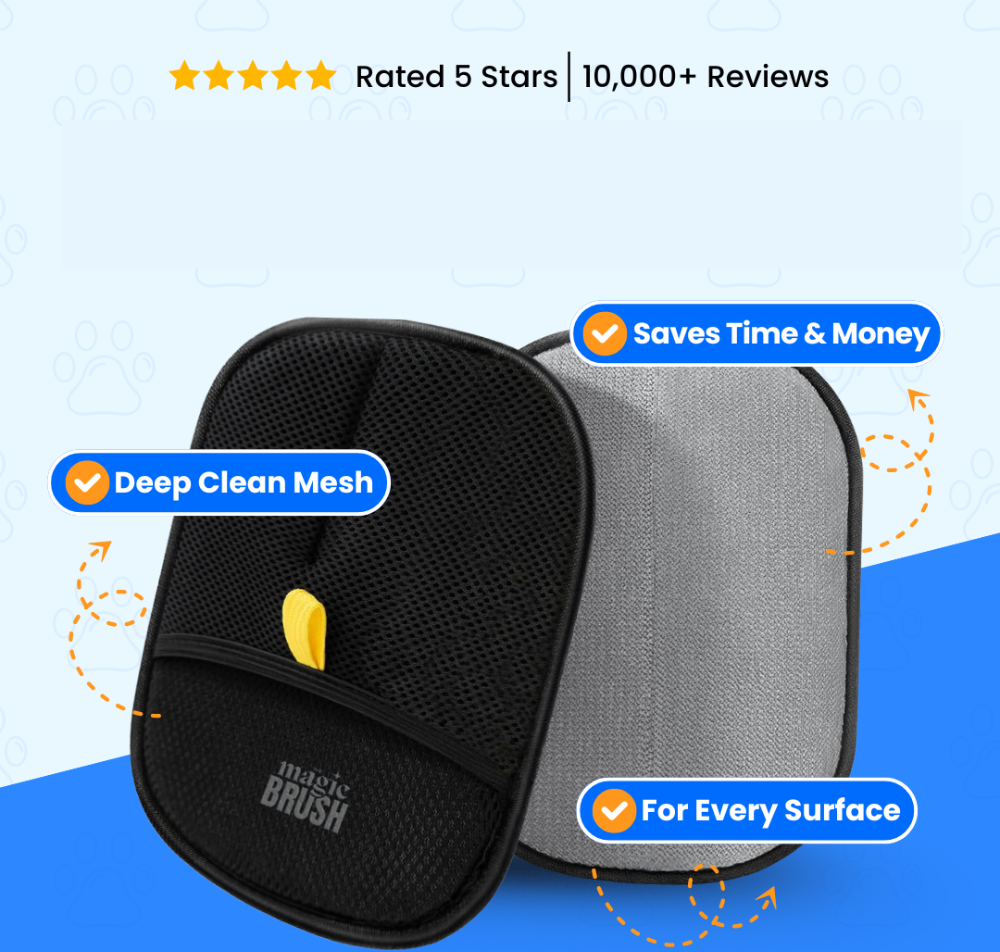 HaarStop Pro