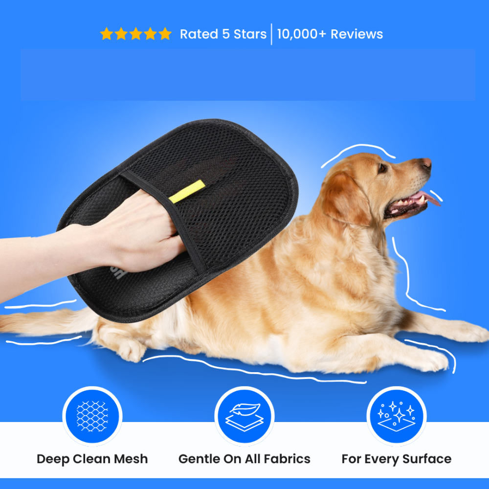 HaarStop Pro