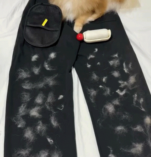 HaarStop Pro